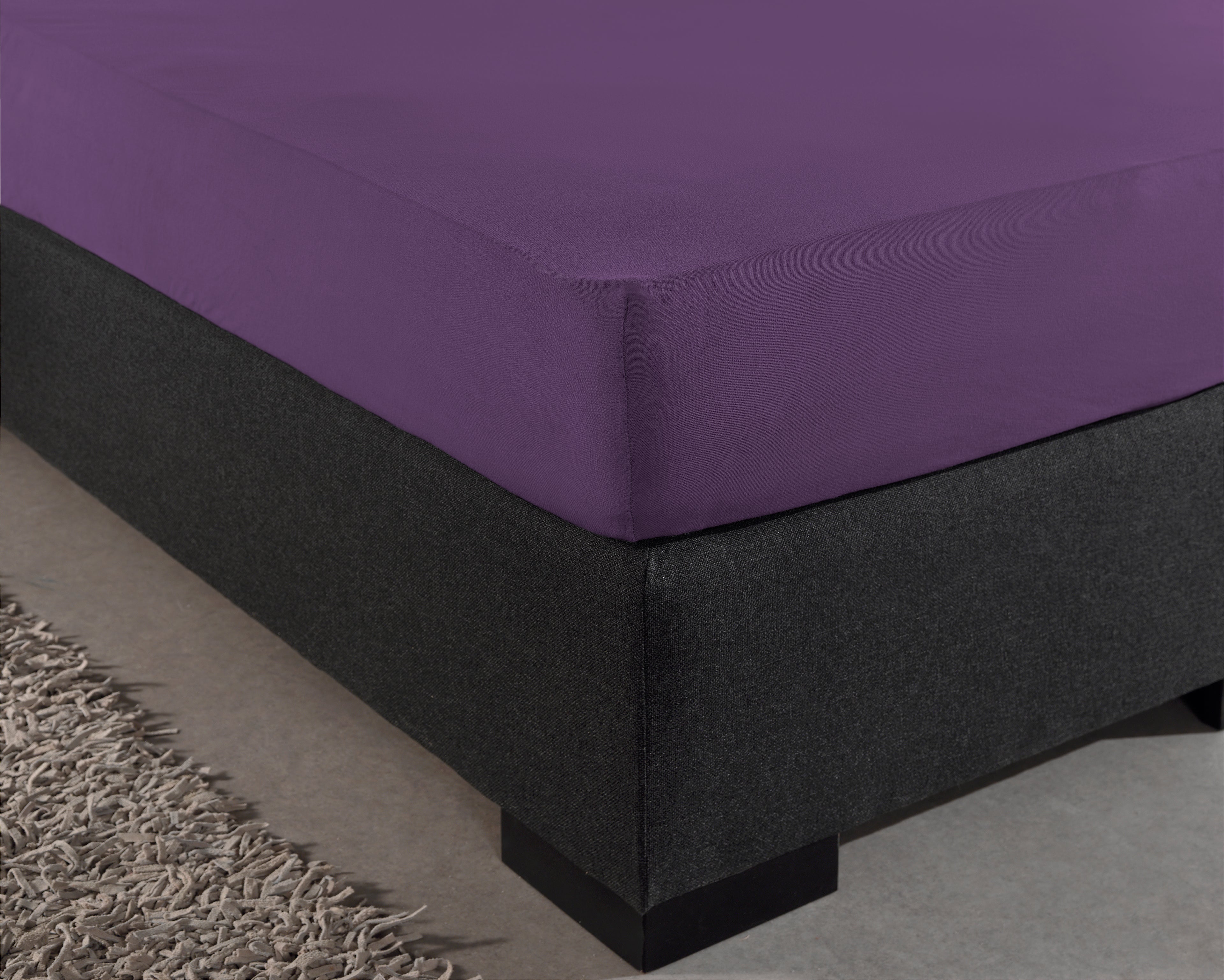 Jersey 135 gr. Hoeslaken Paars