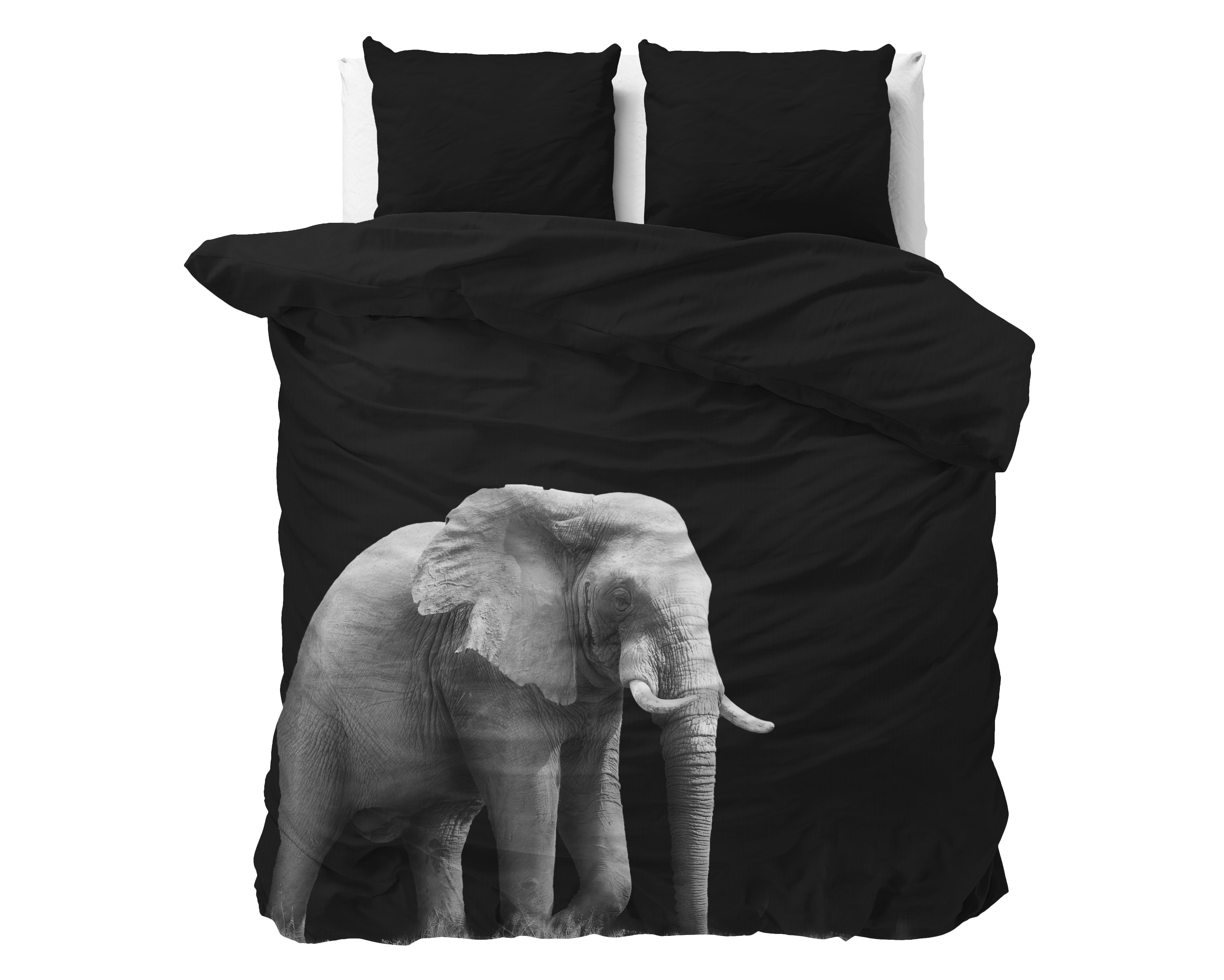 Elephant Zwart
